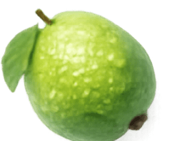 Guava